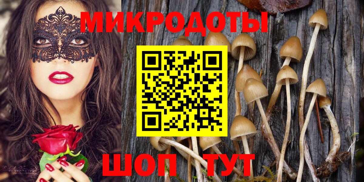 Псилоцибиновые грибы Magic Shrooms Котельники